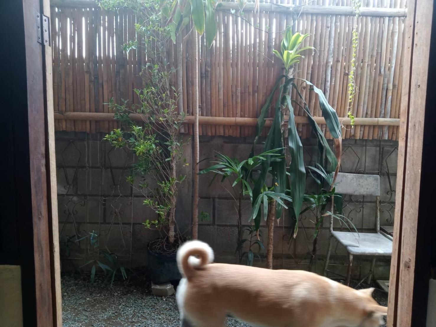 Imchai Pai Ngoại thất bức ảnh